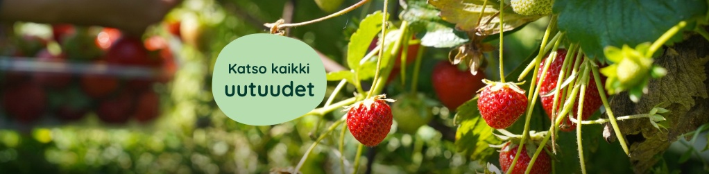 Uutuudet
